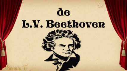 9ª de Beethoven (Nona de Beethoven)