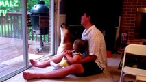Video Engraçado - Bebê e animal engraçados