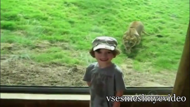 Подборка интересных Приколов