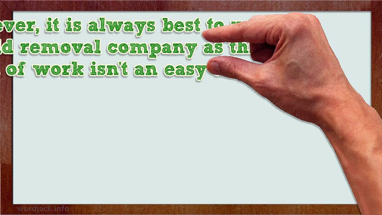 Why It s Better To Use a Mold Removal Specialist