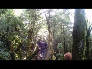 etrange apparition dans la montée du bugarach