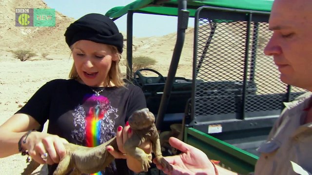 CBBC Naomi's Nightmares of Nature s04e09 Arabian Adventure