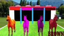 Horse 3D Colourful Colour Song For Children Kids Rhymes || Animated 3D Nursery Rhymes