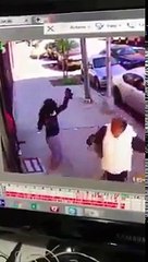 Dona gira seu cachorro com a coleira em briga contra gato