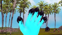 Gorilla 3D Animated Finger Family Rhymes For Children | Top 10 Finger Family Songs