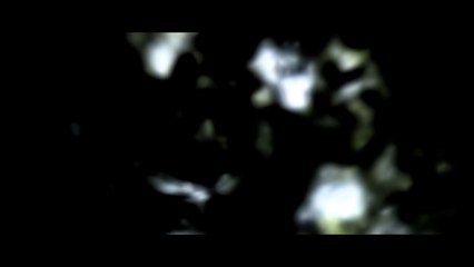 Cannibal Official Trailer