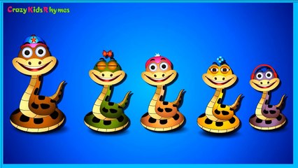 Finger Family Collection | Children Songs | Biggest Collection of Finger Family For Children