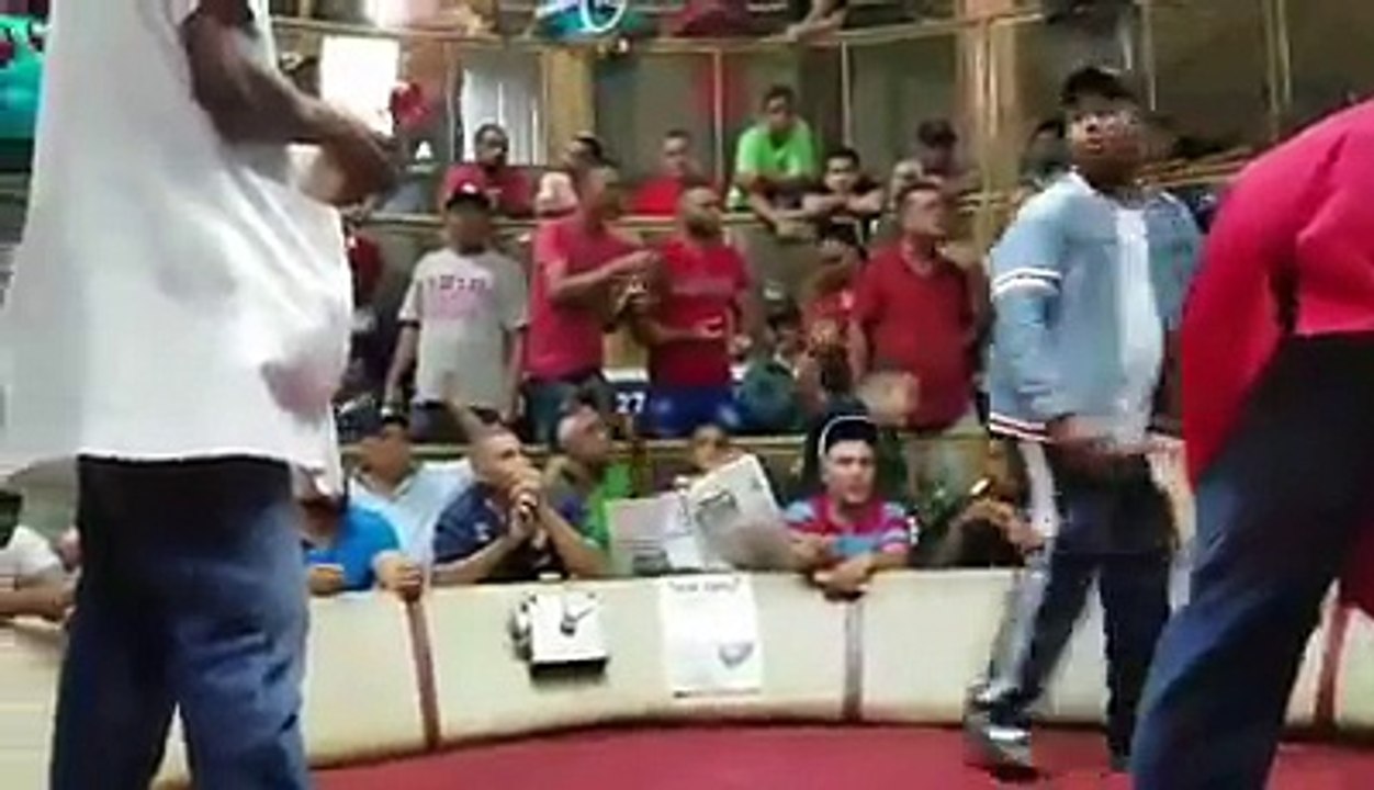 La Paloma Blanca En Su Primer Pelea!!!