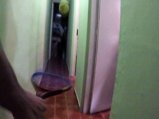 Quais São seus Hobbies