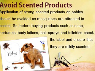 Mosquito Repellent Singapore | Singapore Isect Repellent
