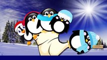 Penguin Finger Family Nursery Rhymes | Penguin Cartoon Finger Family Rhymes For Children