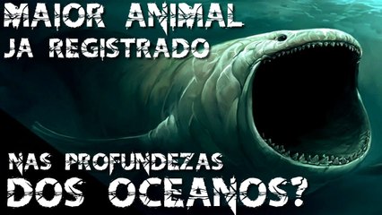 MAIOR ANIMAL JA REGISTRADO NAS PROFUNDEZAS DOS OCEANOS