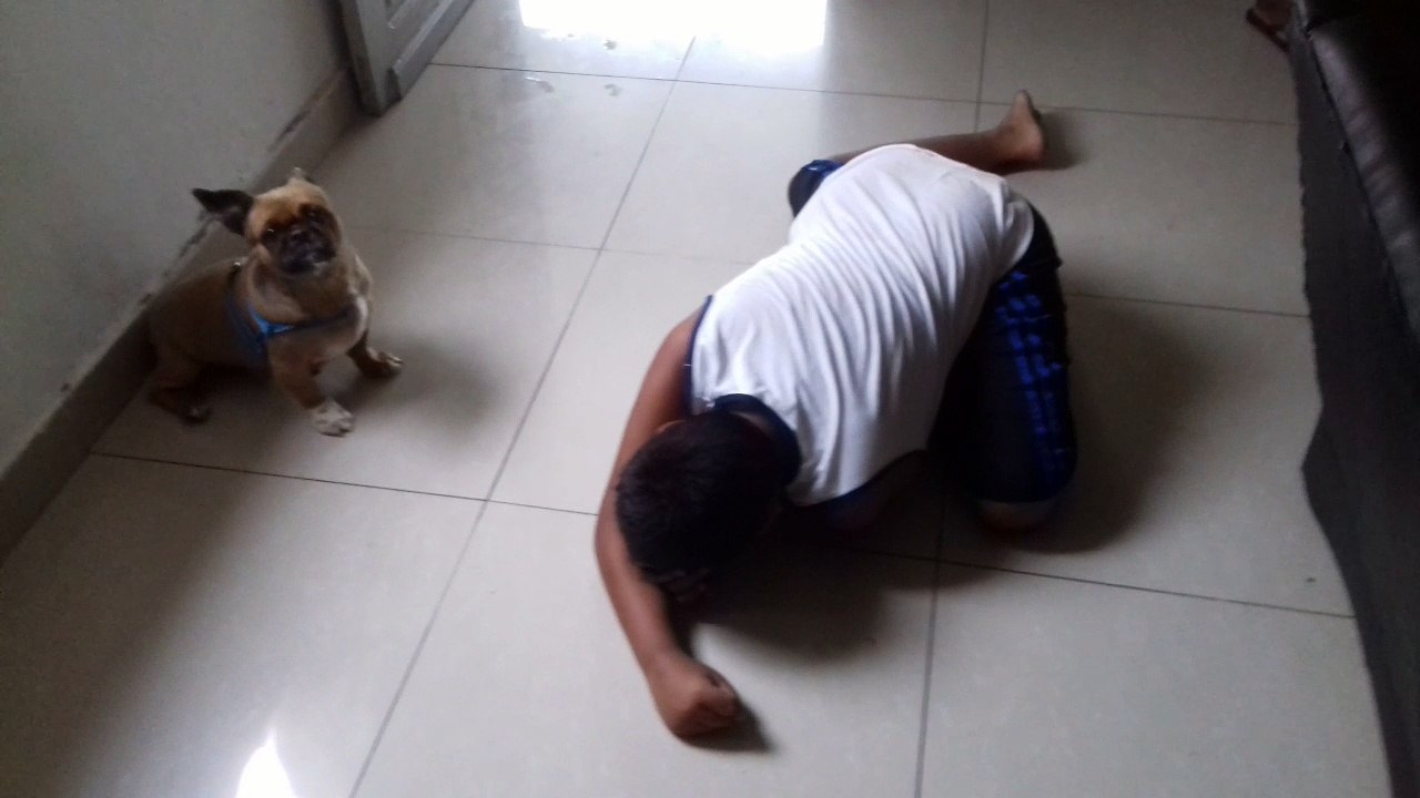 Menino Doido