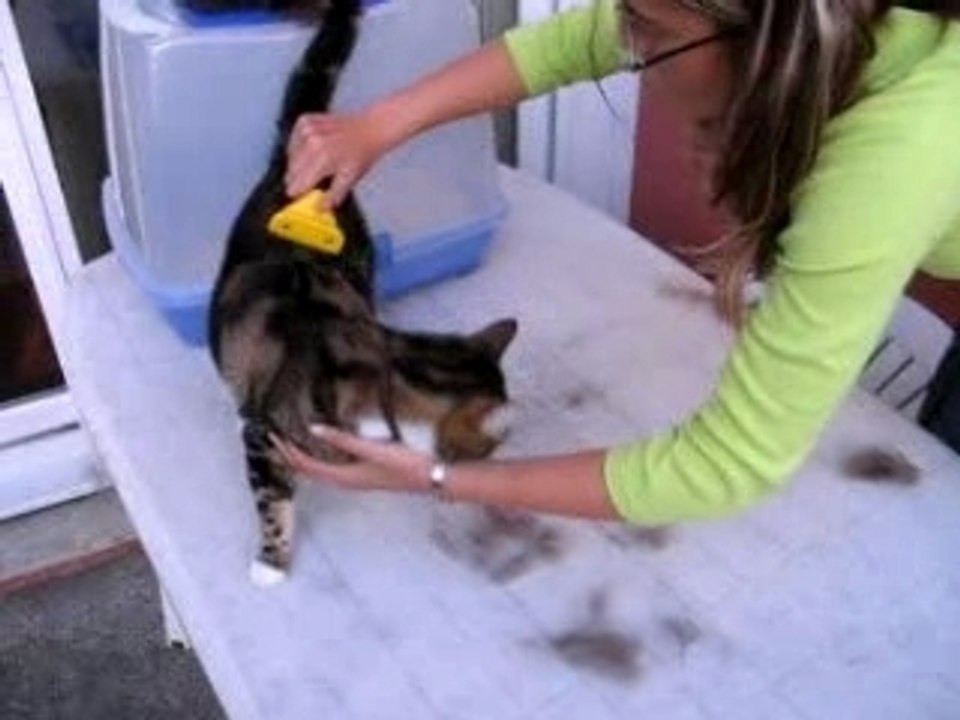 Furminator