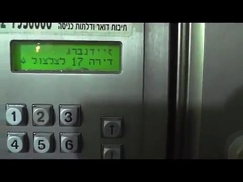 ענת זיידנברג לשכת רווחה בת ים סוחרת בילדים לפנימיות אומנה ואימוץ