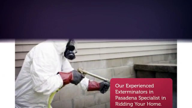 OCP Termite & Pest Control in Pasadena Exterminator