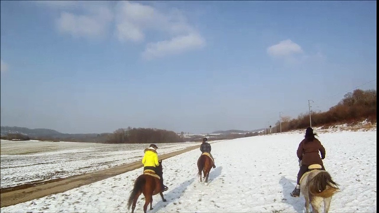 1ère vidéo neige 25 janv 2017