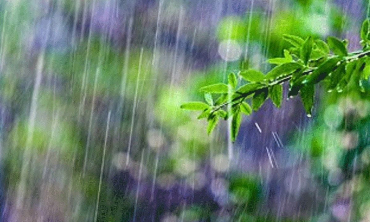 Raining in Karachi