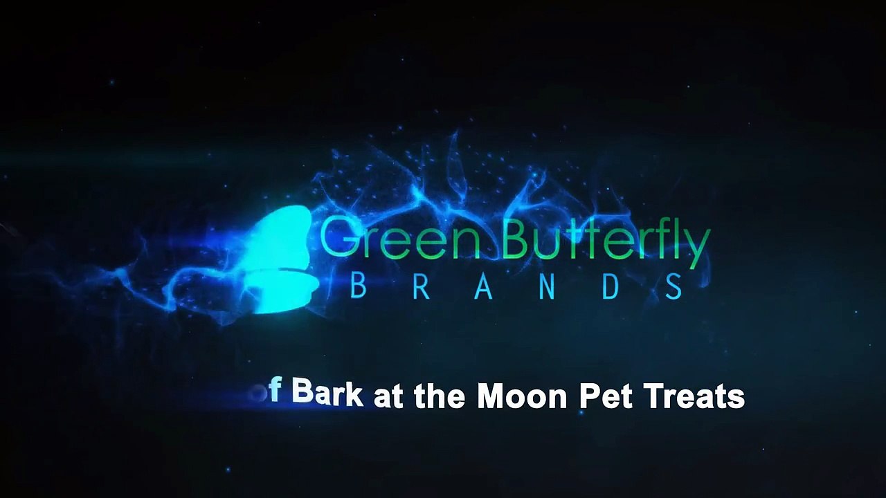 Valentine's Treats For Your Furry Pals - Healthy Treats For Dogs & Cats Made In The USA!