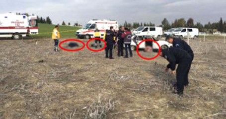 Adana'da Mezarlıkta Dehşet! Yan Yana 3 Erkek Cesedi Bulundu