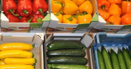 Rusya: Yaş Sebze Kısıtlaması Kısa Sürede Kalkacak