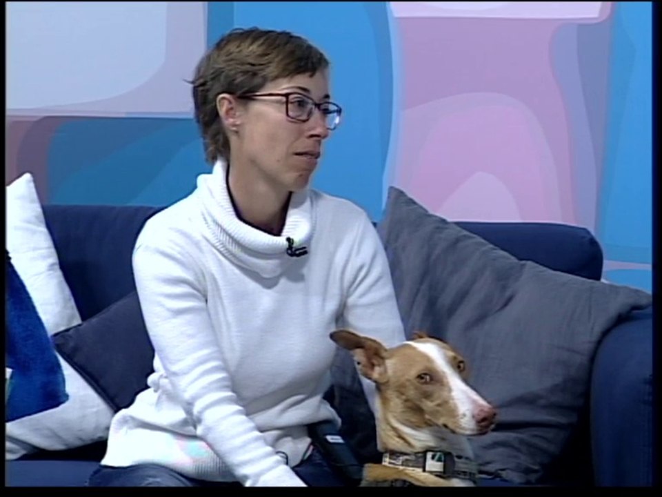 Las Mañanas I 25 enero 2017