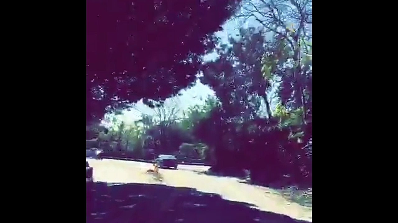 Frank Ocean snippet