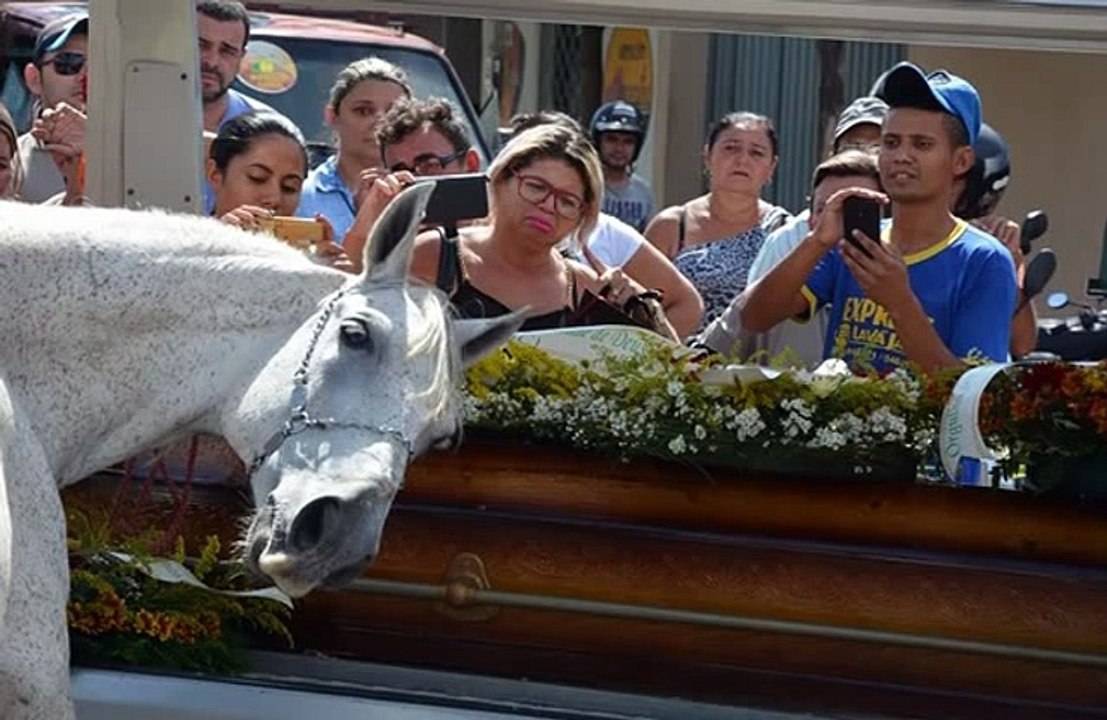 impressionante !!!Cavalo vai ao velório para se despedir dono vaqueiro morto em acidente