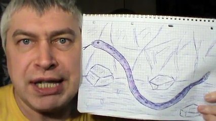 Гремучая змея ( Рисунок ) — Геннадий Горин