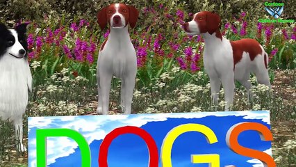 Pig Color Songs Collection || Jeep Learn Teach To Toddlers || Cartoon Children Rhymes