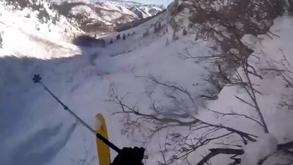 Un skieur chute d'une falaise