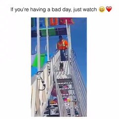 Kayarak çok eğlenen köpek :)