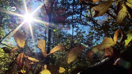 Winter light in Italian village | Focus on Europe