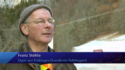 Au Danube, un renard a été retrouvé complètement gelé