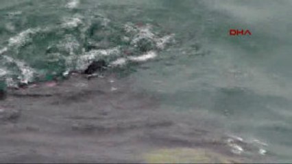 Eminönü'de Annesinin Denize Attığı Bebek Aranıyor