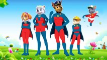 SuperHero Finger Family Paw Patrol Pups Transform into SuperHeroes Finger Family Nursery Rhymes