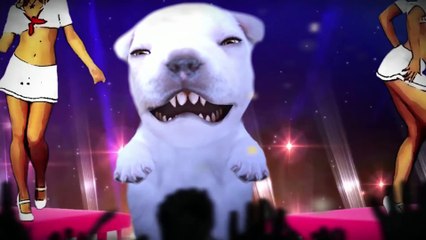 Video da ConTV (Especial 300k)