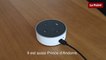 5 choses à demander à Alexa, le petit robot d'Amazon