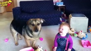 Funny babies annoying dogs - Cute dog & baby compilation-Laugh Zone