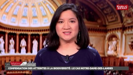 Audition de Marc Bouchery (CE Biodiversité) + audition de JD Combrexelle (MI Dém - Les matins du Sénat (26/01/2017)