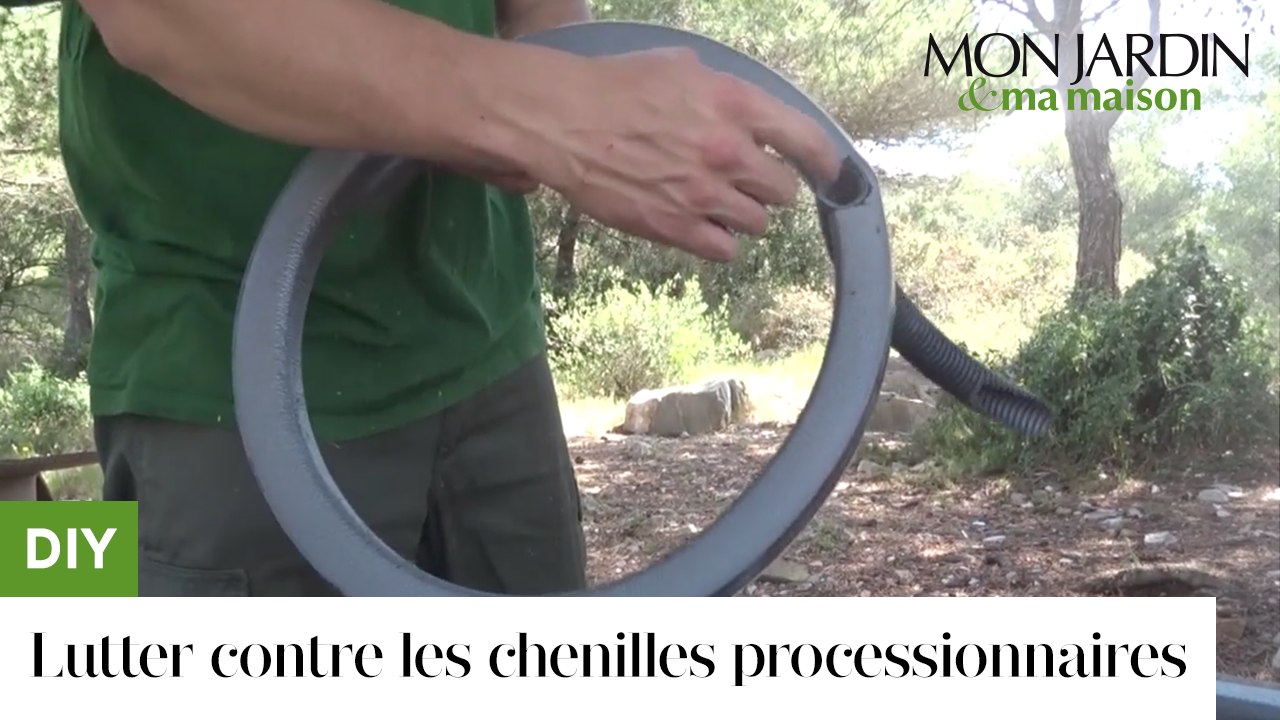 DIY : comment lutter contre les chenilles processionnaires