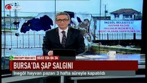 Bursa şap salgını! (Haber 25 01 2017)