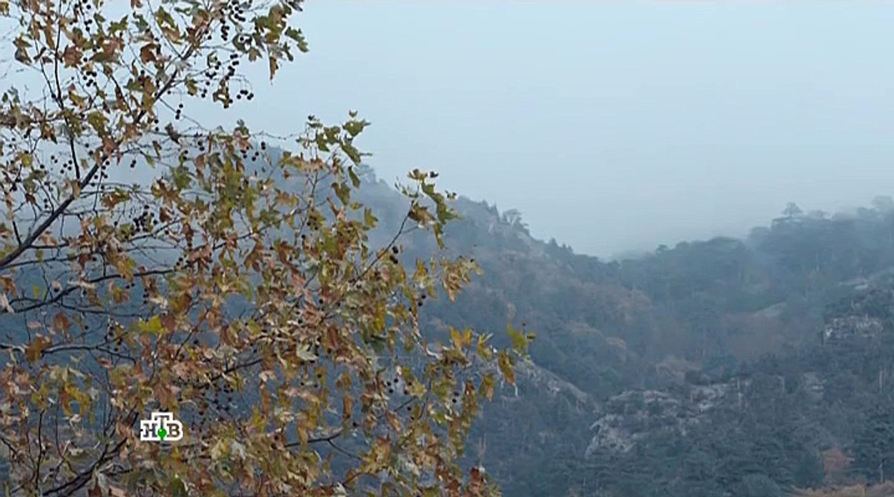 Один против всех 8 серия. Сериал (2017)