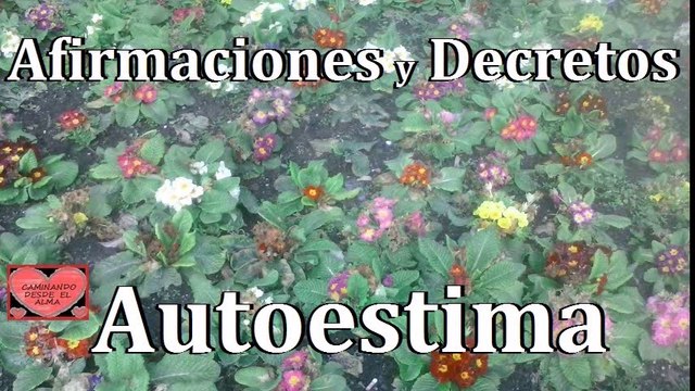 Afirmaciones para mejorar la autoestima.