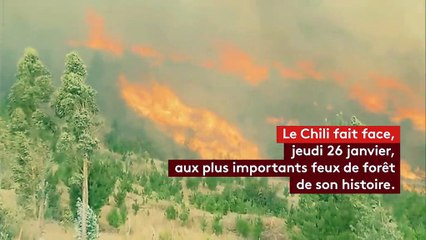 Des feux de forêt historiques au Chili