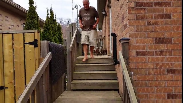 Incroyable ! Ces chiens de 7 semaines suivent les consignes de leurs maîtres à la lettre !