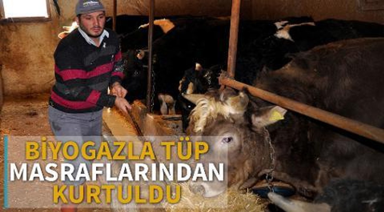 Biyogazla tüp masrafından kurtuldu