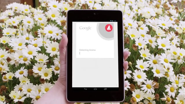 How do you smell what you are looking for? Google NoseHow do you smell what you are looking for? Google NoseHow do you smell what you are looking for? Google NoseHow do you smell what you are looking for? Google NoseHow do you smell what you are looking f