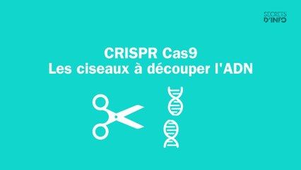 CRISPR Cas9, la grande menace ?