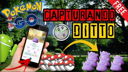 como-pegar-o-Ditto-no-pokémon-Go